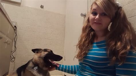 dog fucks teen|Women describe how it felt the first time you took a dog inside of。